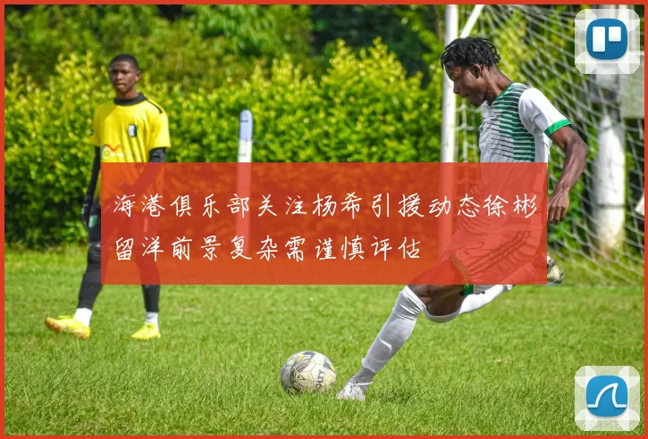 海港俱乐部关注杨希引援动态徐彬留洋前景复杂需谨慎评估
