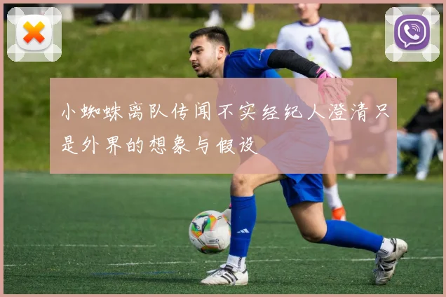 小蜘蛛离队传闻不实经纪人澄清只是外界的想象与假设