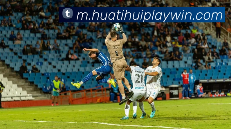 华体会体育APP 封面图